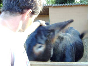 zoobarcelona023.jpg